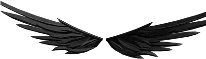 Misfortune's Guardian's Wings - Roblox All Wings (420x420), Png Download