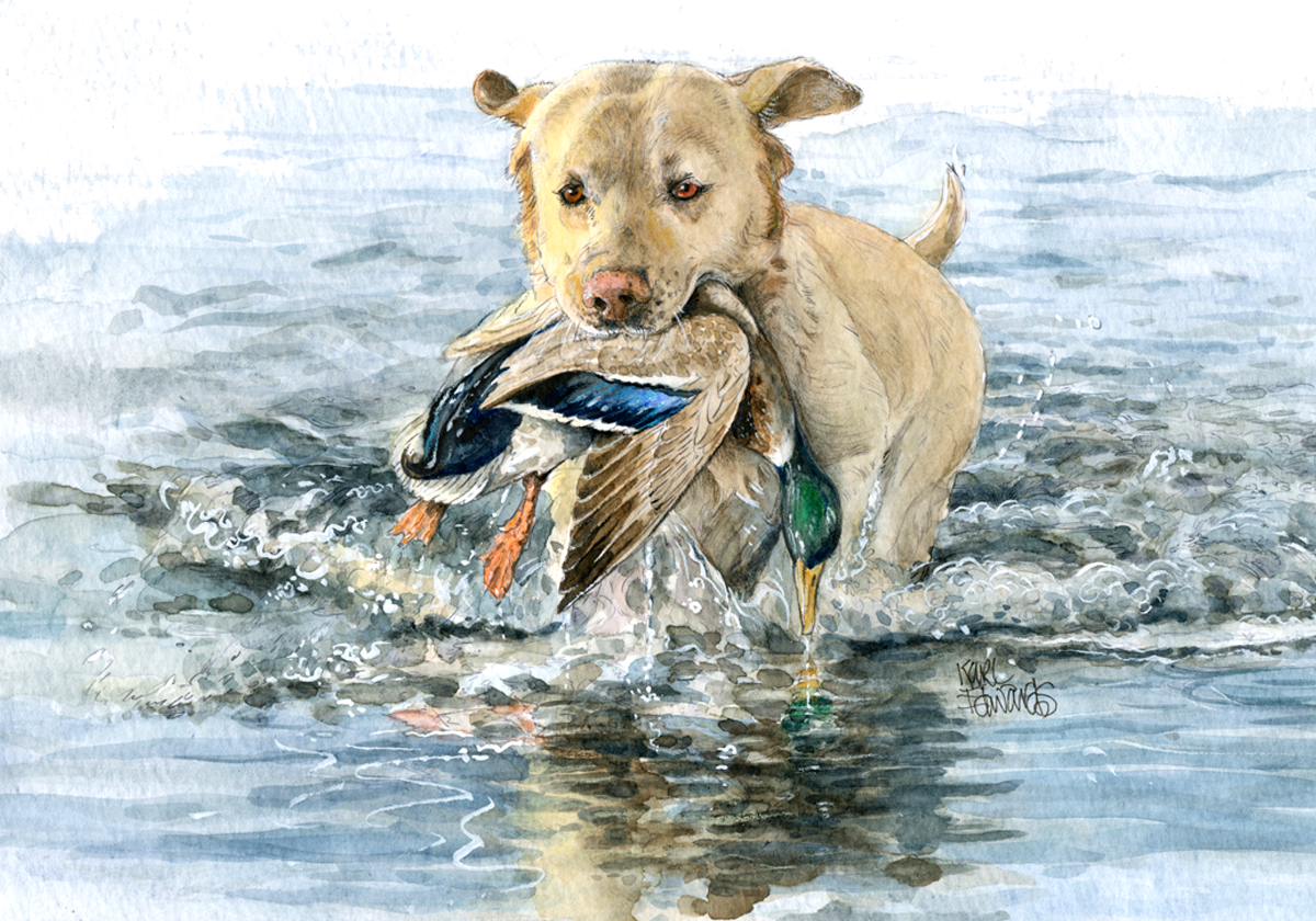 Dog With Bird - Labrador Retriever (1200x840), Png Download