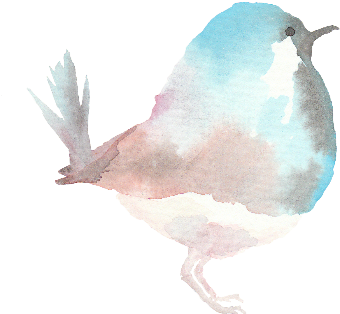 Spring Watercolor Birds - Seabird (1546x1259), Png Download