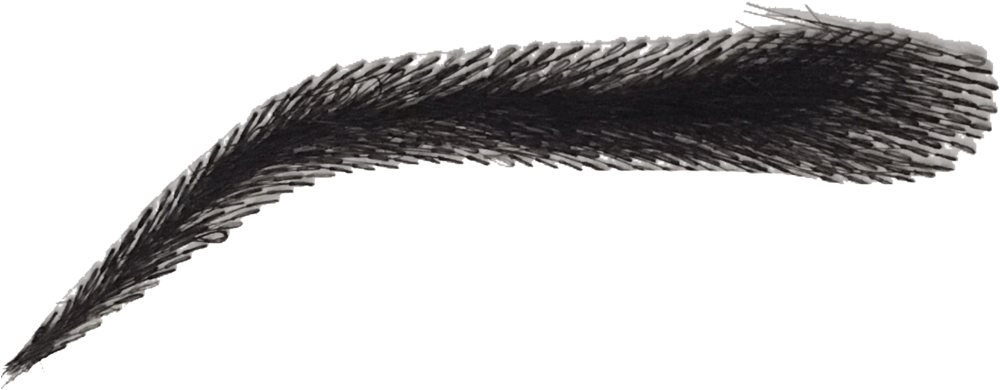 Kimk False Eyebrow - Grass (1024x554), Png Download