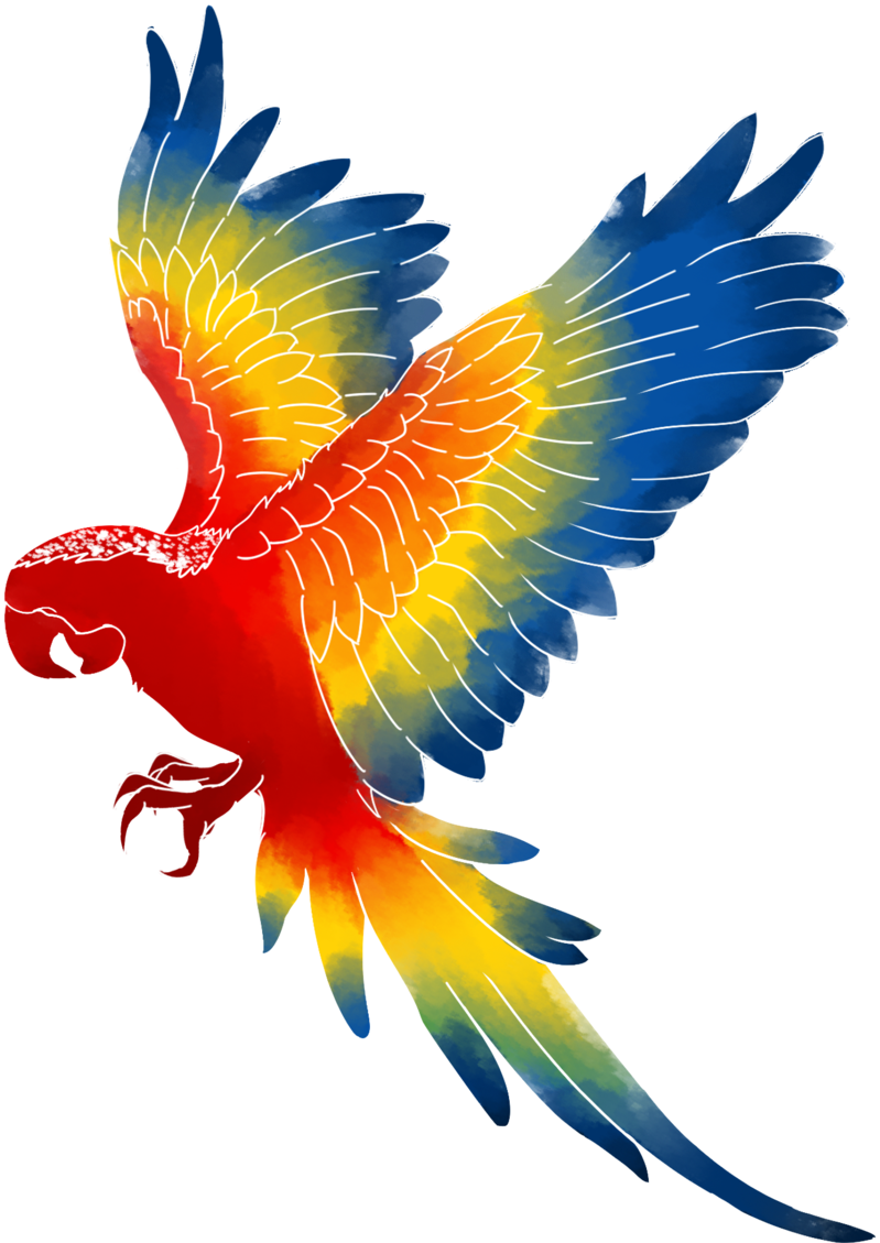 Macaw Png Transparent Images - Brazil Macaw Png (1024x1131), Png Download