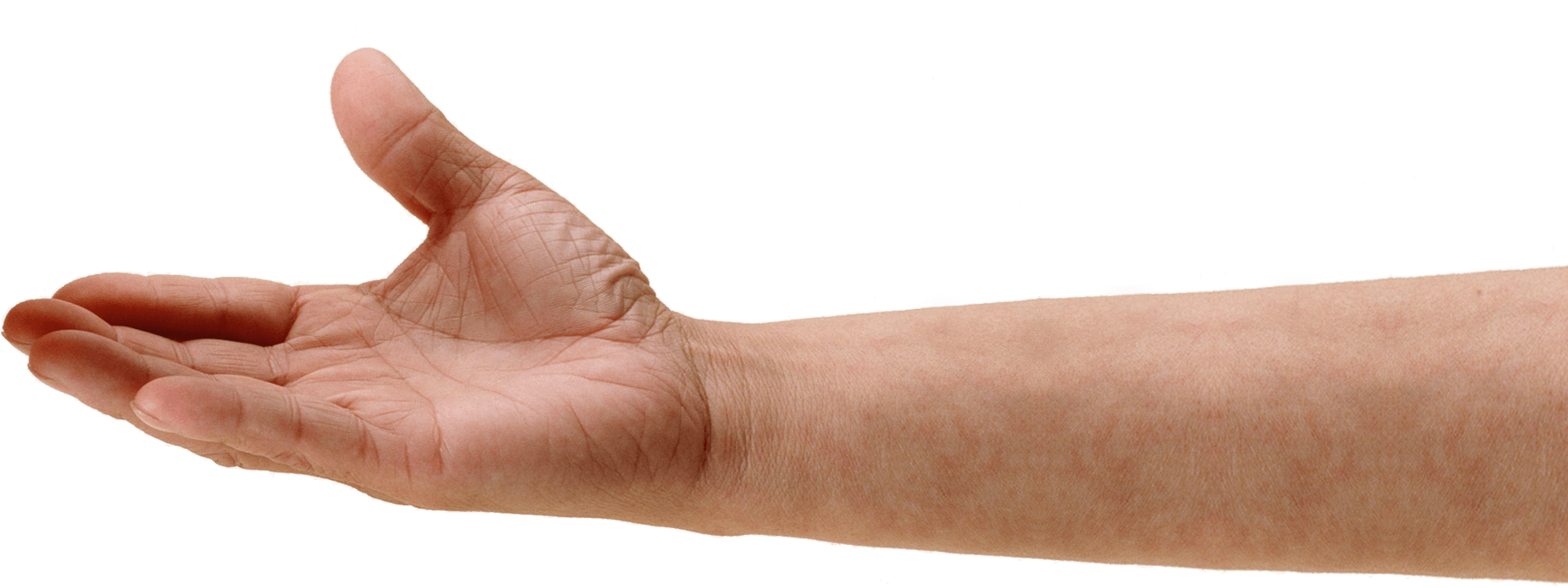 Hand Arm Png (1891x708), Png Download