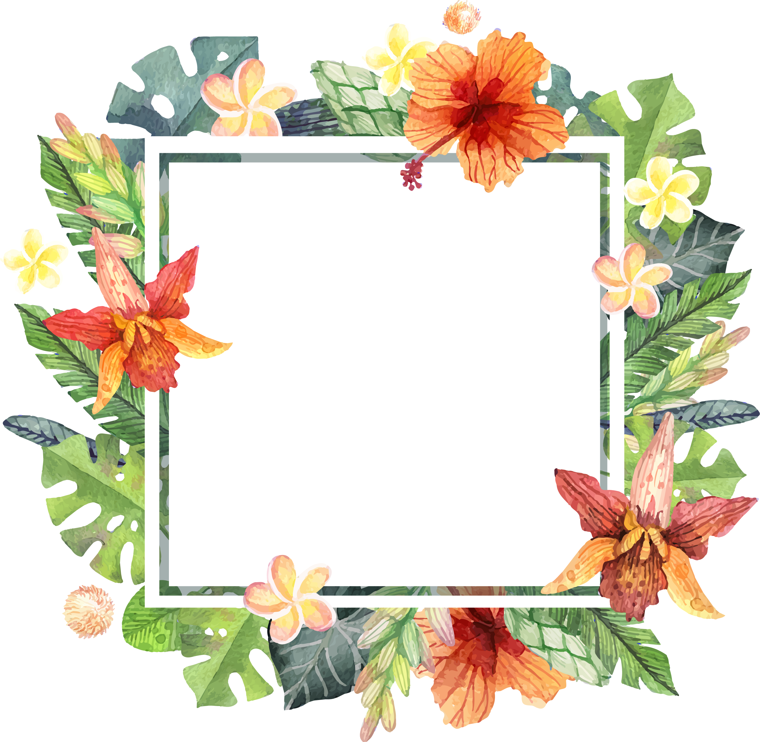Summer Border Png - Border Watercolor Summer Png (2515x2456), Png Download
