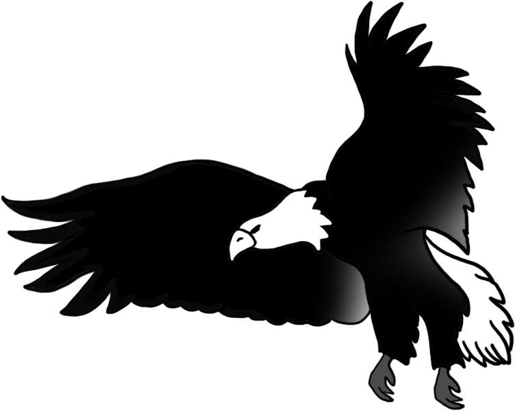Black White Drawing Flying Bald Eagle - Eagle Black And White Flying (886x709), Png Download