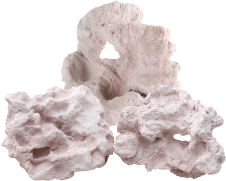 Coral Rock Png - 3dm Reef Rocks (600x400), Png Download