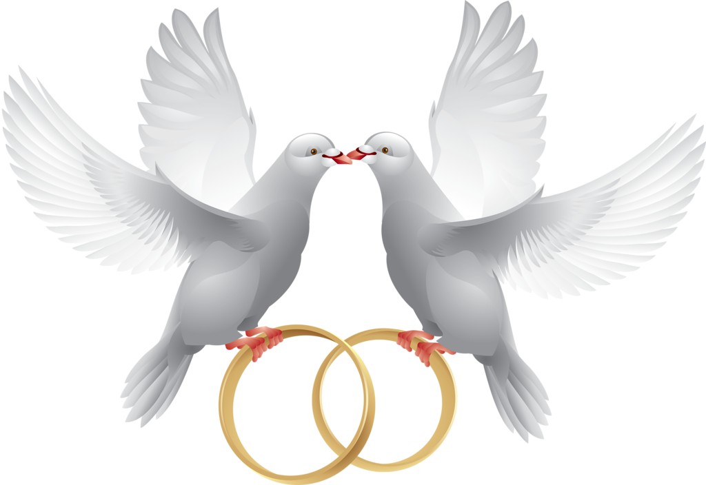 Marriage Clipart Dove - Wedding Ring With Dove (1024x704), Png Download