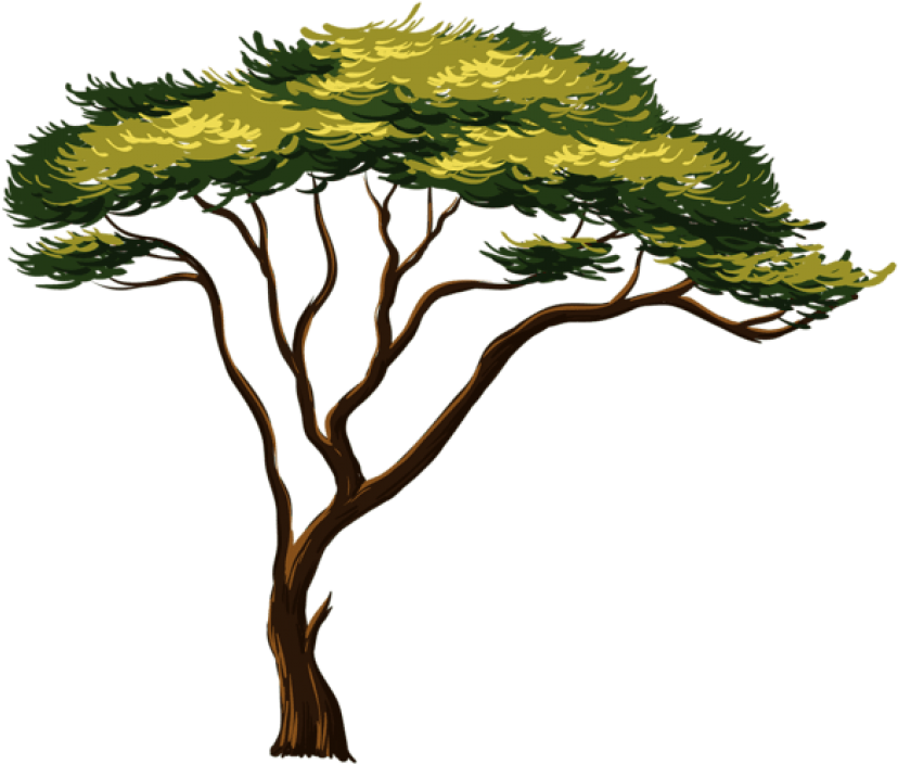 African Trees Silhouette At Getdrawings - Wall Sticker Safari Animals (600x516), Png Download