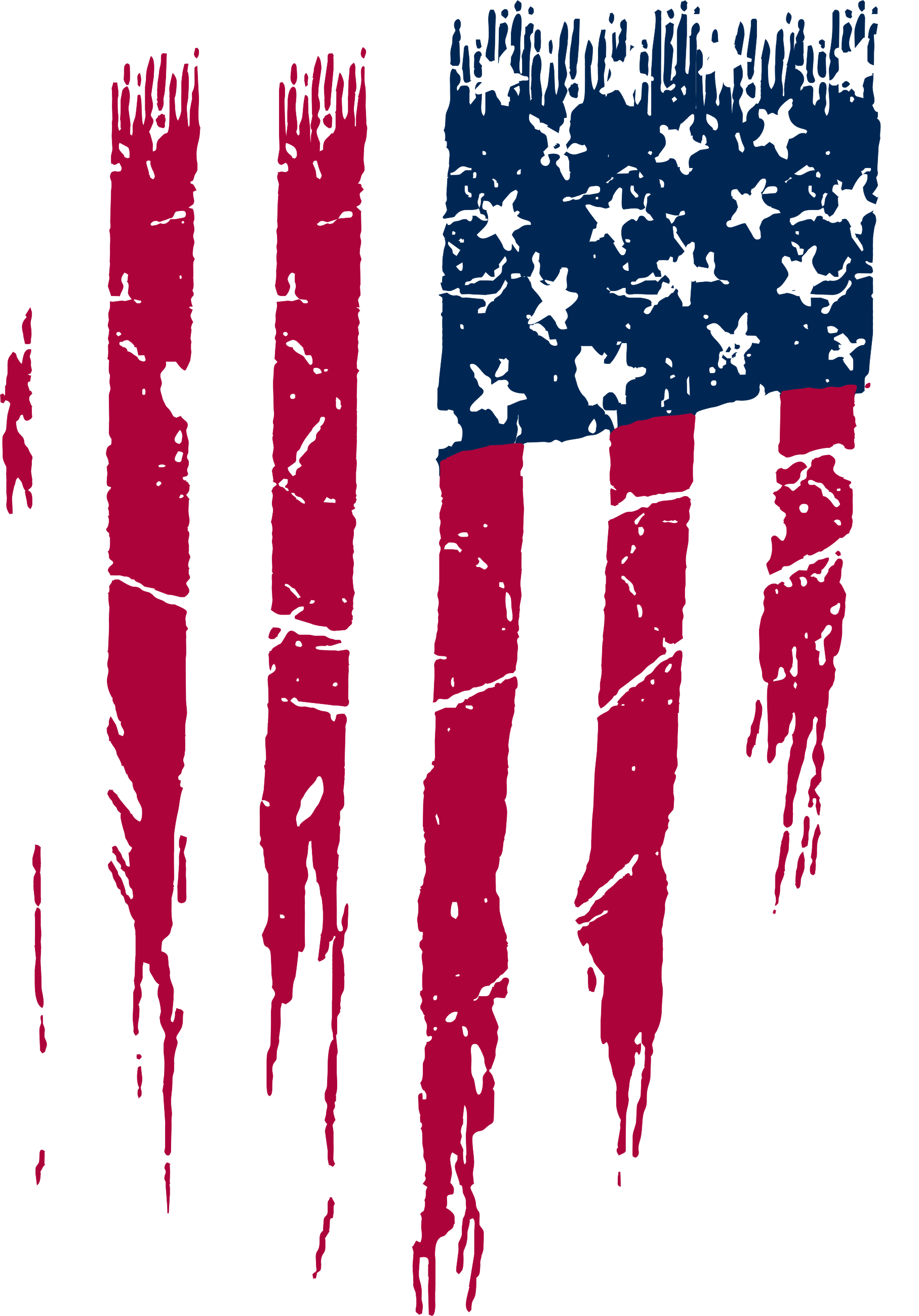 Transparent Black And White American Flag Png Black And White Torn