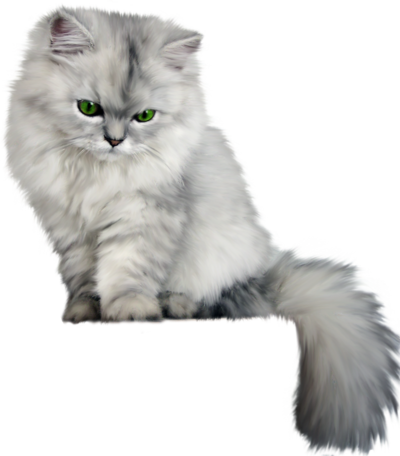 Cat Transparent Fluffy - Fluffy Cat Png (400x456), Png Download