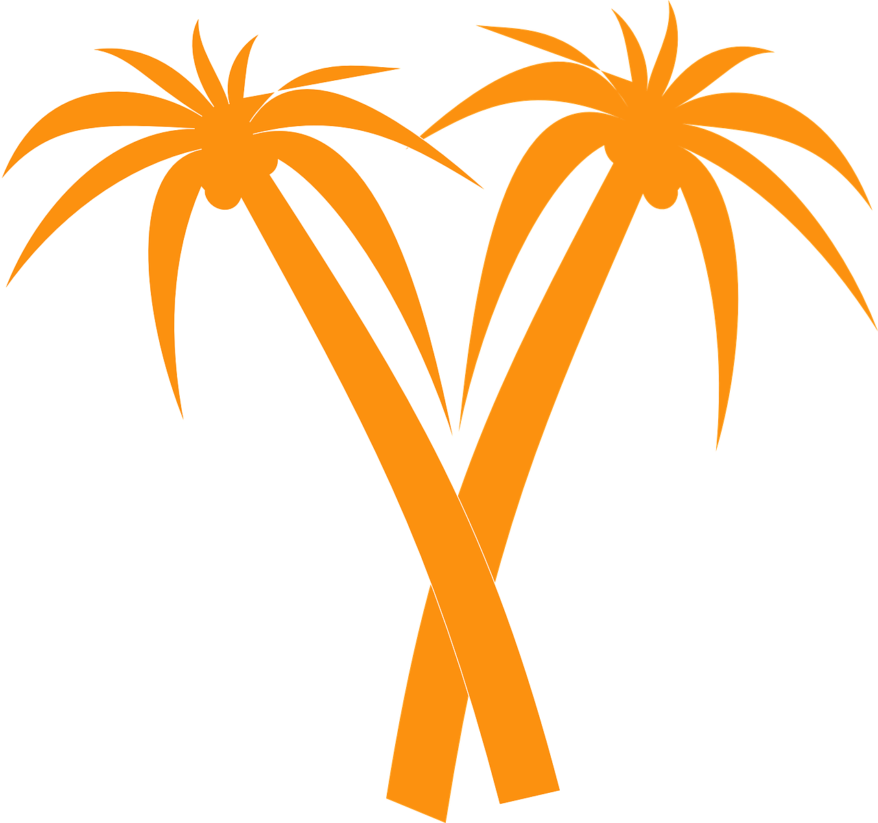 Orange Clipart Palm Tree - Orange Palm Tree (767x720), Png Download
