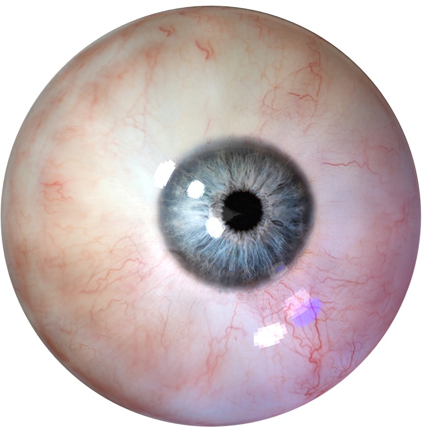 Eye Transparent (1000x935), Png Download