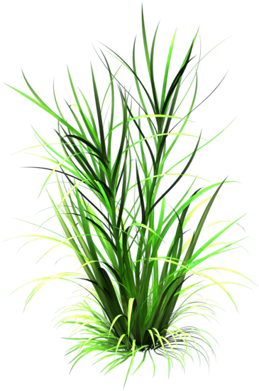 Png Grass Clipart Transparent Image - Grass Leaf Texture Png (600x598), Png Download