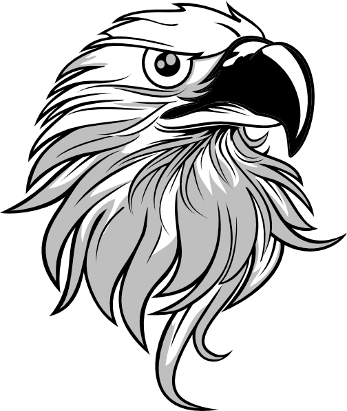 Eagle Clipart Black And White - Black And White Eagle Png (504x598), Png Download