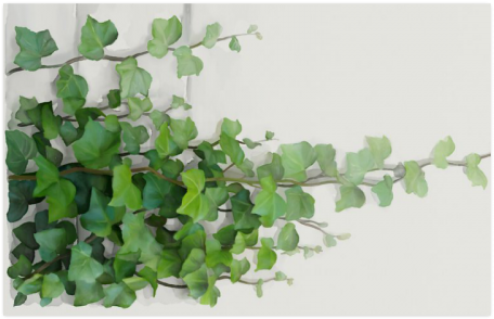 Watercolor Vines, Climbing Plant Zoom Poster 23*36 - Watercolor Climbing Plant (500x500), Png Download