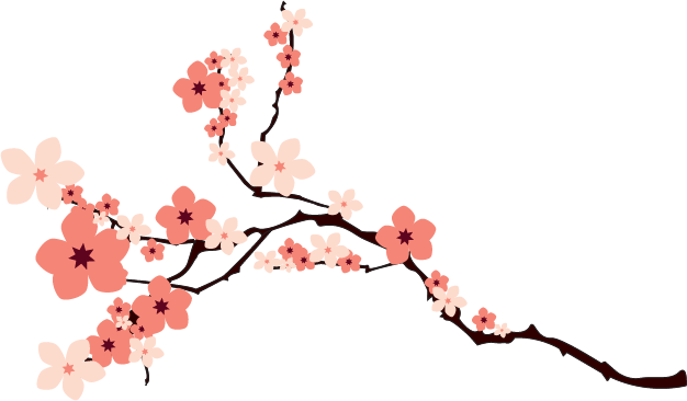 Cherry Blossom Png Transparent Image - Cherry Blossom Vector Png (626x366), Png Download