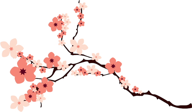 Cherry Blossom Png Transparent Image - Cherry Blossom Vector Png - Free ...