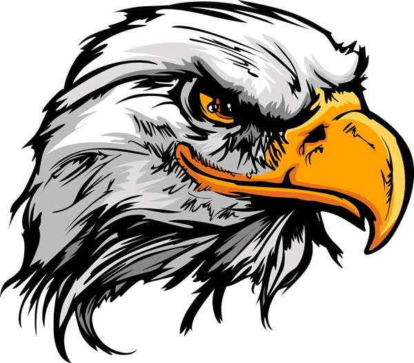 Head Eagle Png (600x526), Png Download