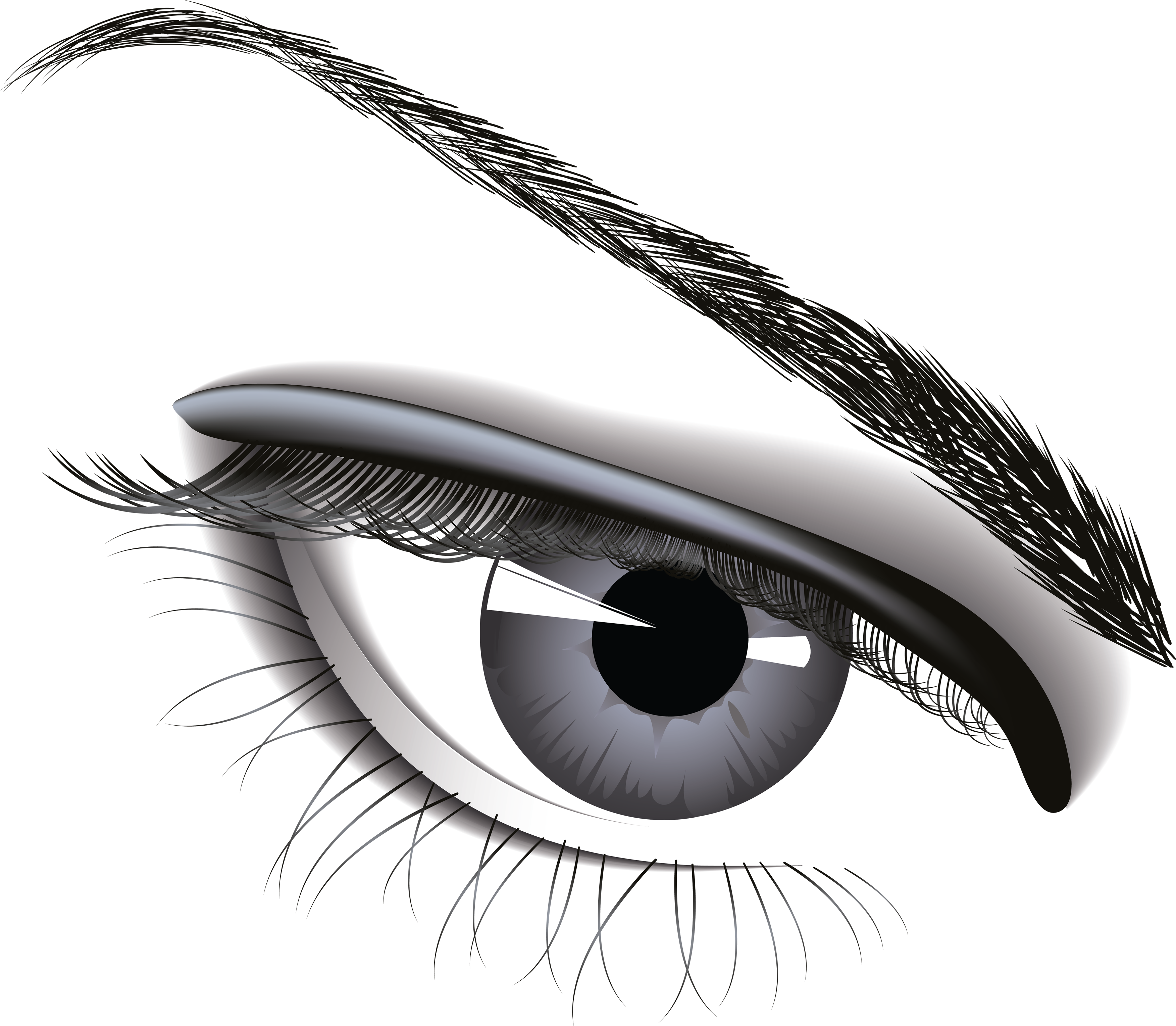 Vector Black And White Stock Eye Png Image Purepng - Poster On Donate Eyes (3505x3057), Png Download
