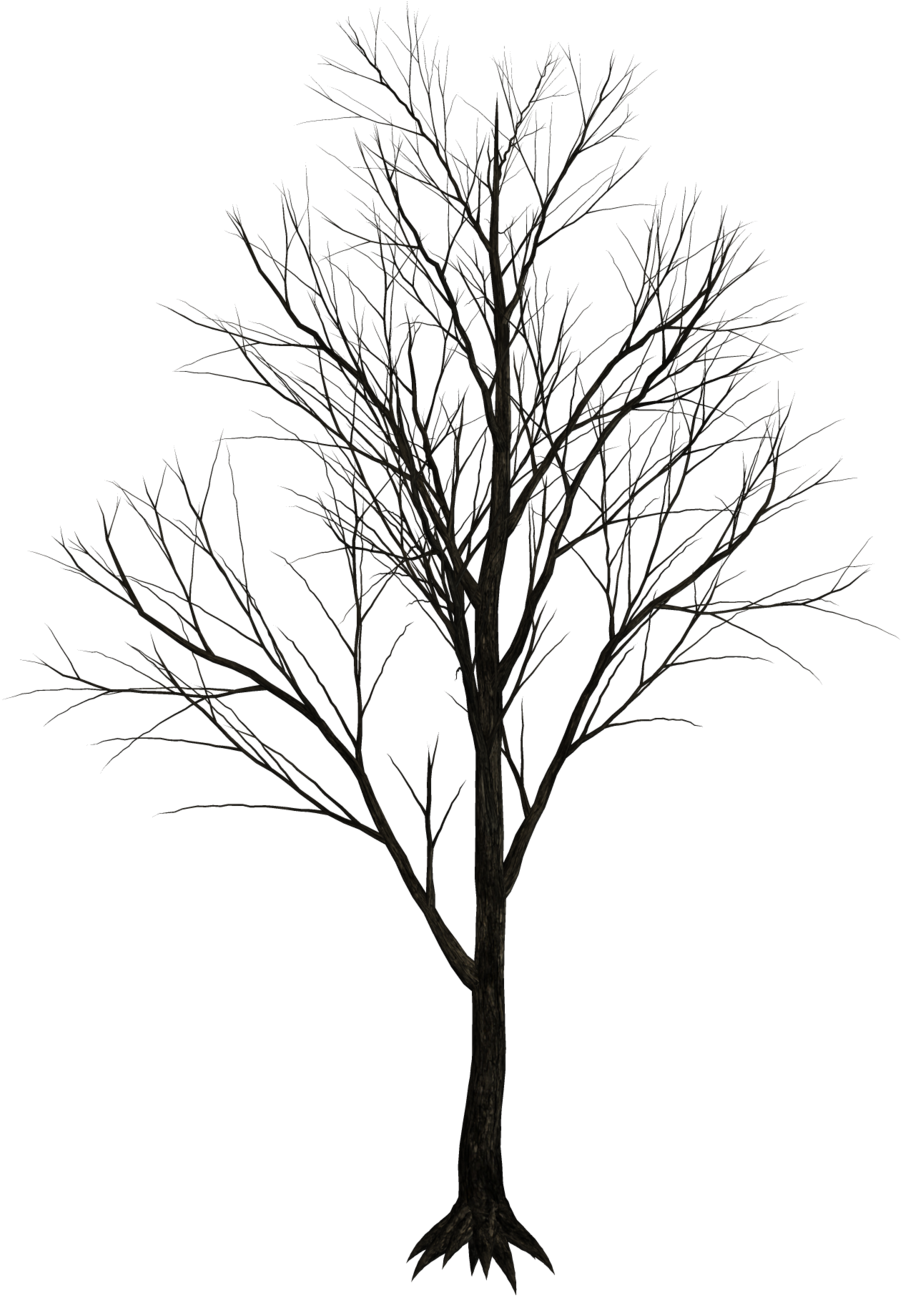 Dark Trees Png Stock 07 Dby Jumpfer Stock-d6vut39 - Dark Trees Png (1024x1341), Png Download