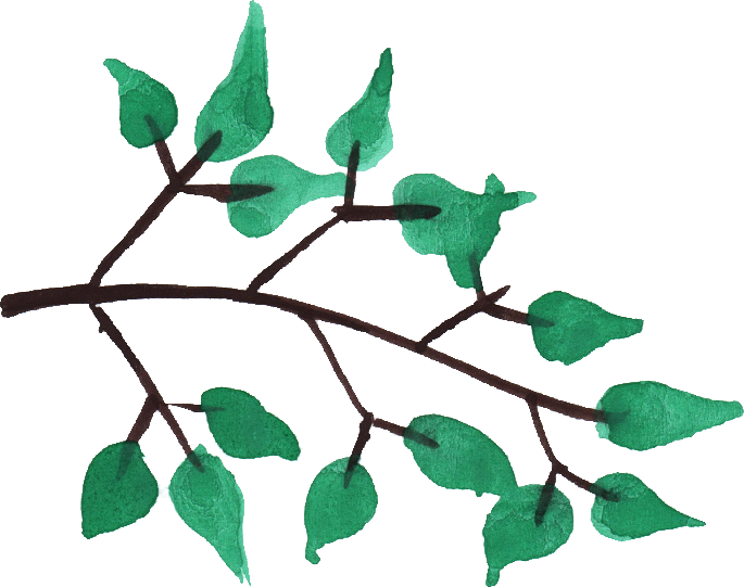 Watercolor Branch Png - Watercolor Tree Branches Png (685x541), Png Download