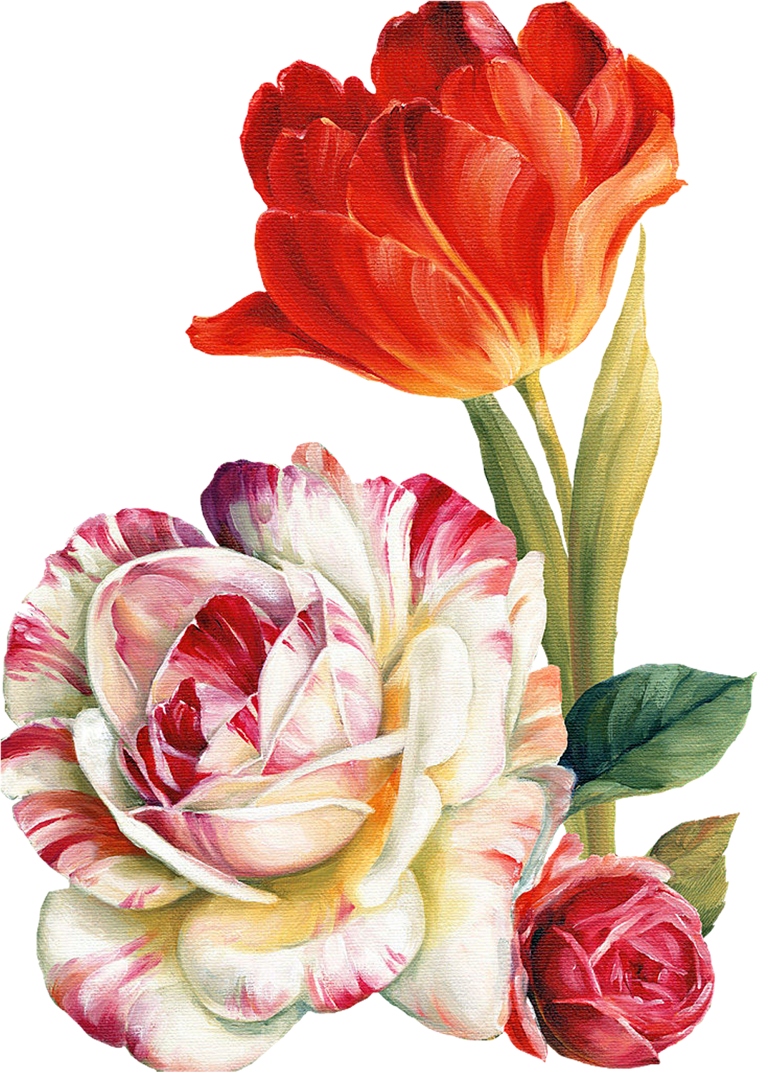 Цветы Png Clipart Lis В Audit - Flowers Painting Png (1137x1600), Png Download