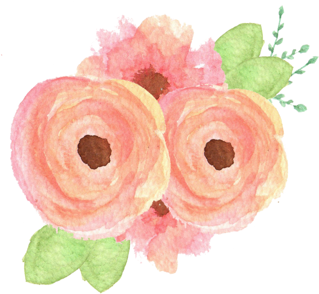 I Am Way Impressed And Can't Wait To Share Your Cards - Peach Flower Clip Art (768x542), Png Download