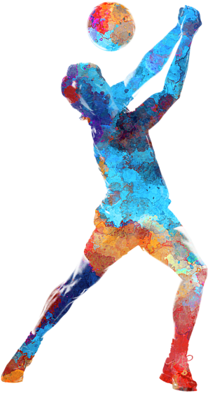 Bleed Area May Not Be Visible - Volley Art (560x700), Png Download