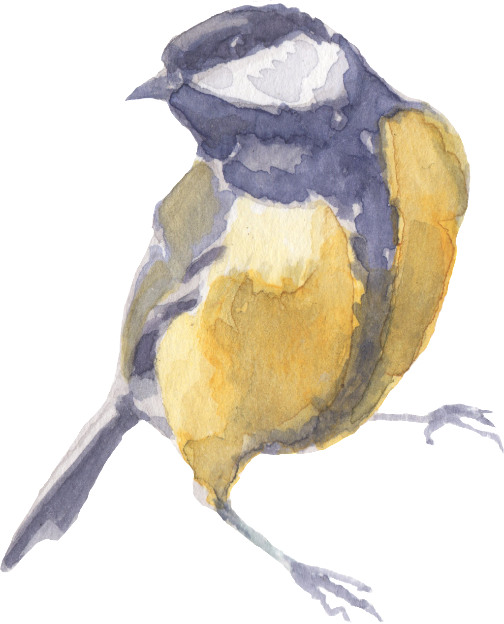 Watercolor Painting (1024x1268), Png Download