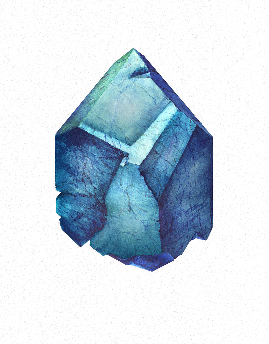 Wetlands Drawing Watercolor - Crystal - Punker & Midranger - Download (1060x1353), Png Download