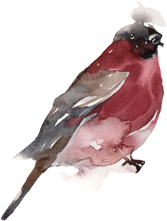 Creative Bird Water Ink Painting Transparent Watercolor - Watercolor Painting (1024x1024), Png Download