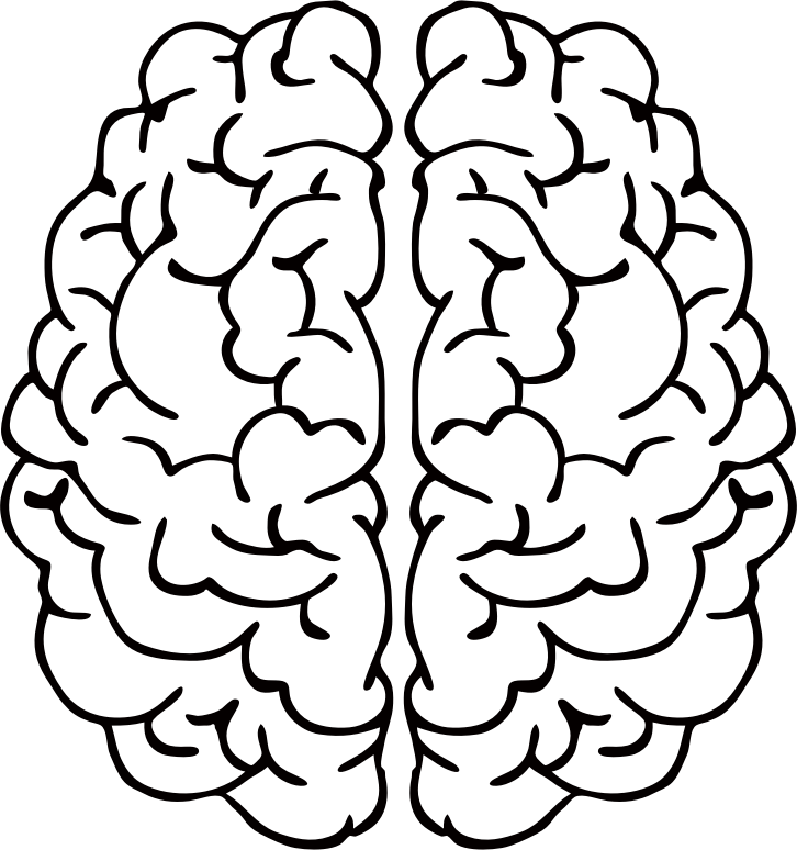 Clip Art Black And White Download Brain Line Drawing - Left Vs Right Brain Png (726x774), Png Download