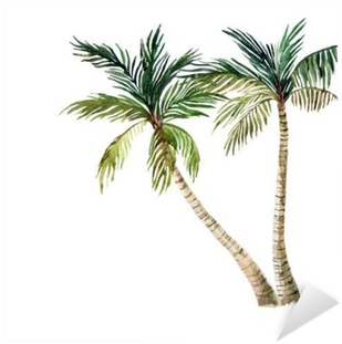 Palm Tree Isolated On White Background - Watercolor Palm Tree (400x400), Png Download