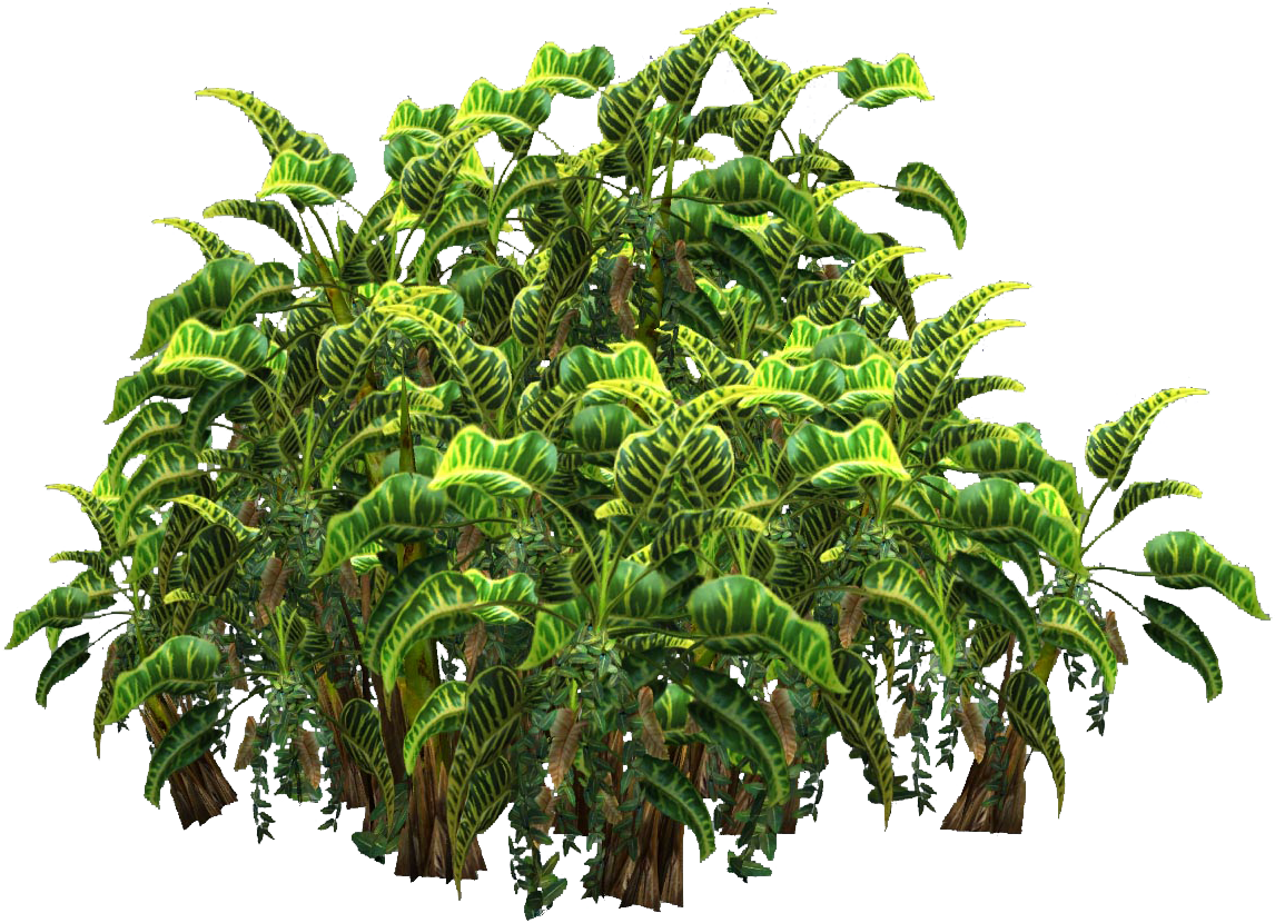 Free Icons Png - Tropical Plants Png (1280x960), Png Download