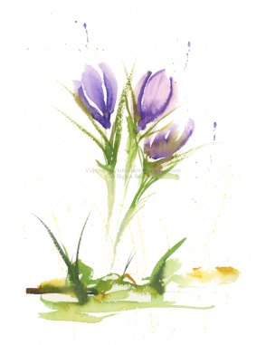 Watercolor Painting (380x380), Png Download