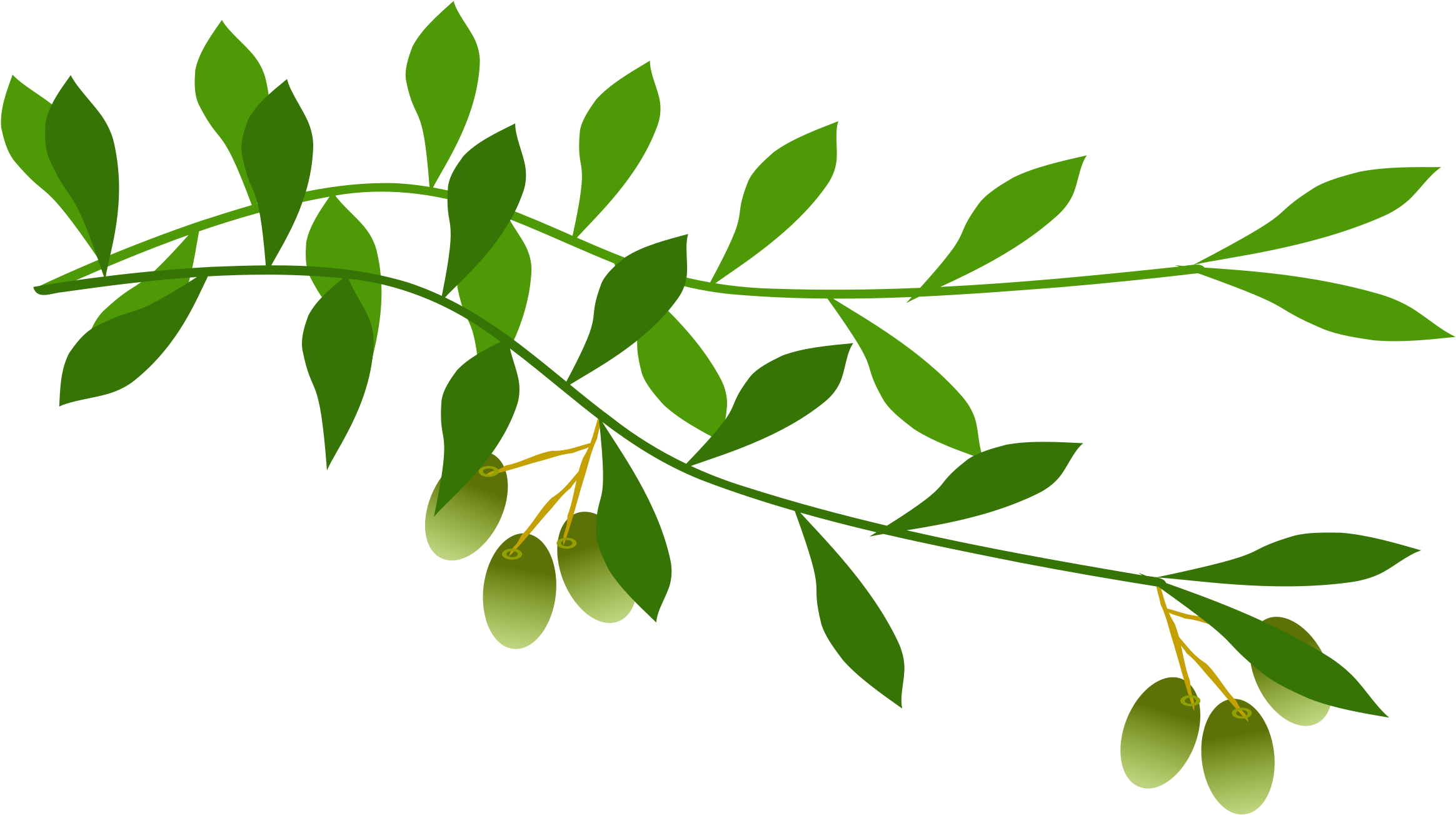 Green Branch Png - Olive Branch Free Clip Art (2400x1379), Png Download