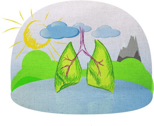 Combattere La Discinesia Ciliare Primaria - Illustration (695x521), Png Download