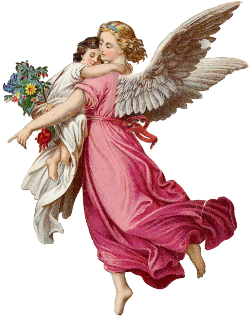 Picture Royalty Free Library Angel Png Download Mart - Transparent Angel (804x1024), Png Download