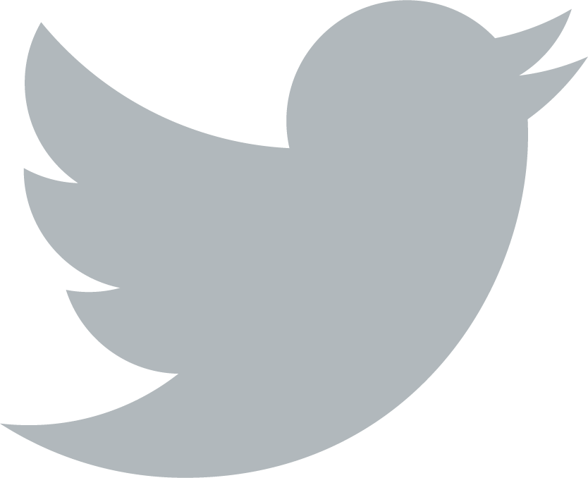 Transparent White Twitter Logo Download - Twitter Logo Vector Grey (576x468), Png Download