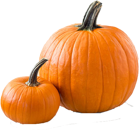 Pumpkin (612x490), Png Download