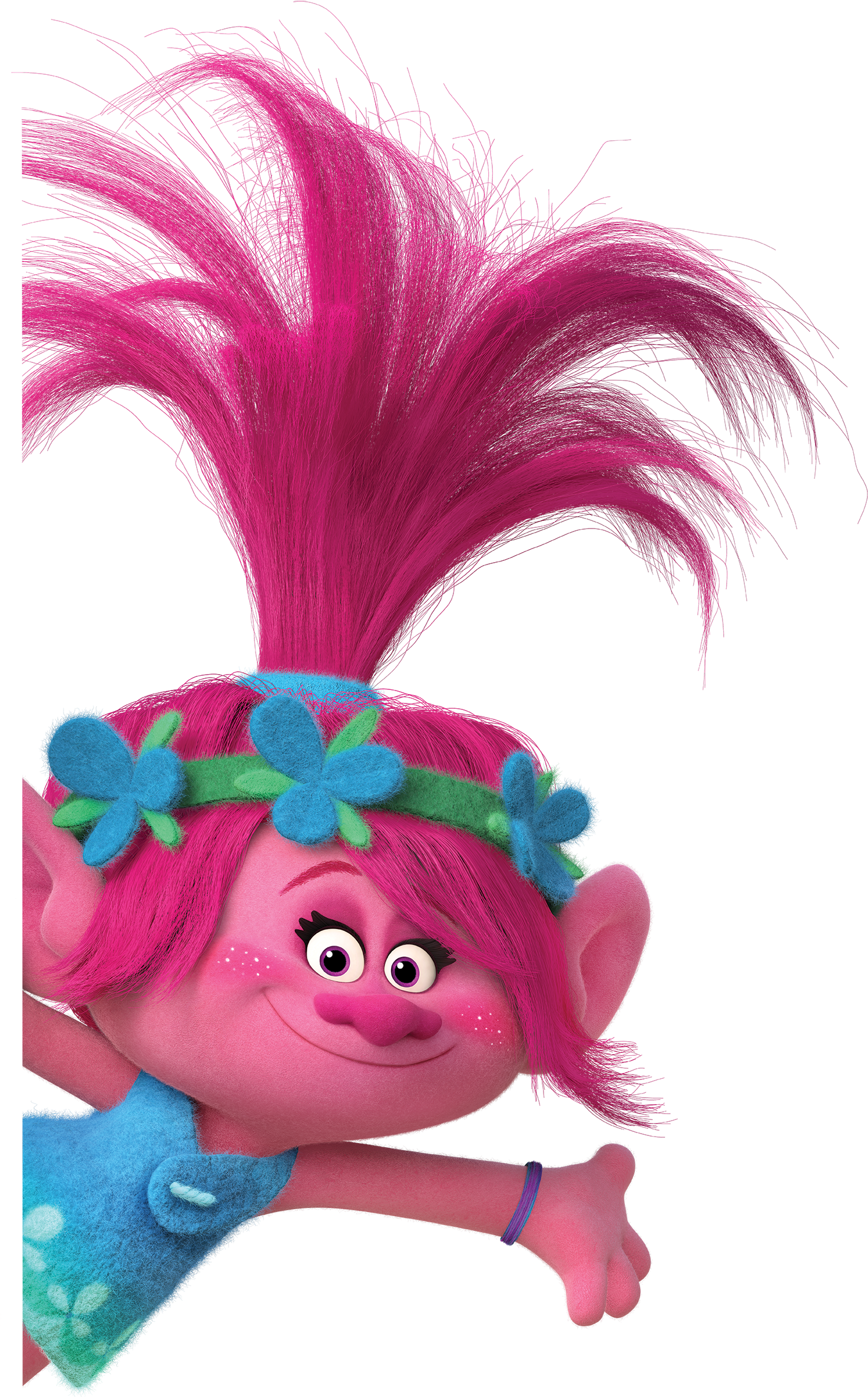 Com Trolls Catalog Attach Downloads Celebrate Trolls - Trolls Png (1555x2592), Png Download