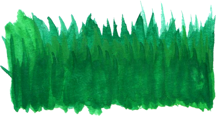 Free Download - Pine (691x372), Png Download