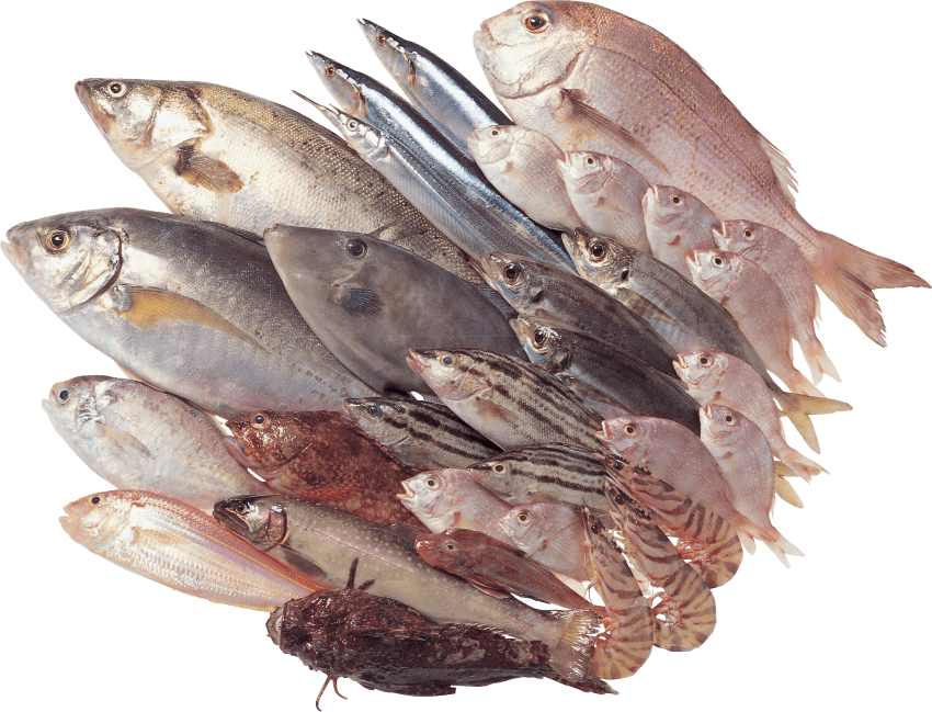 Free Png Fish Png Images Transparent - Рыба В Png (850x649), Png Download