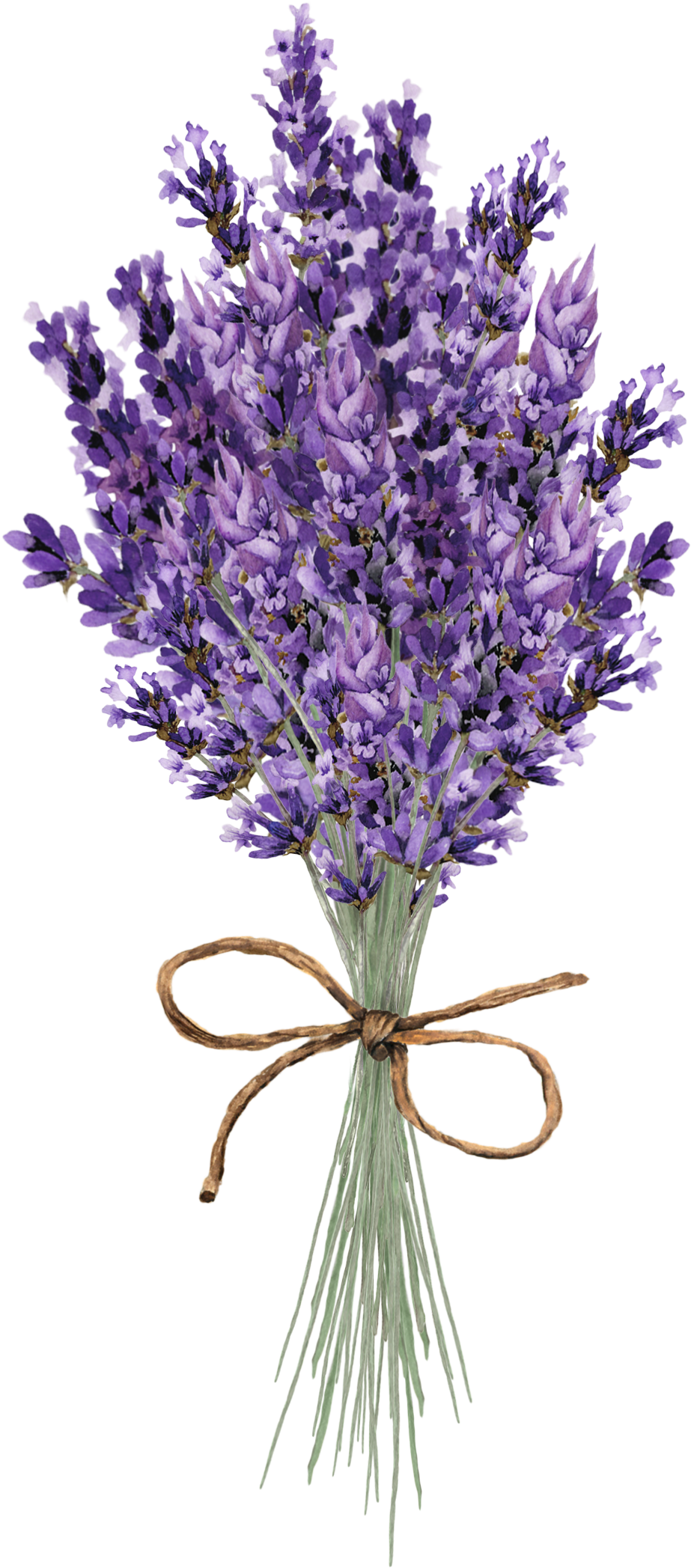 Pin By Teeshik On Декупаж - Flower (1066x2550), Png Download