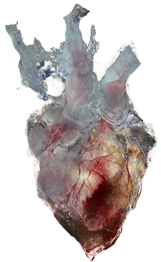 Objecta Frozen Heart - Frozen Heart Png (856x1064), Png Download