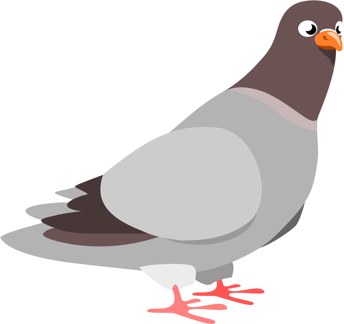Pigeon Clipart (800x754), Png Download