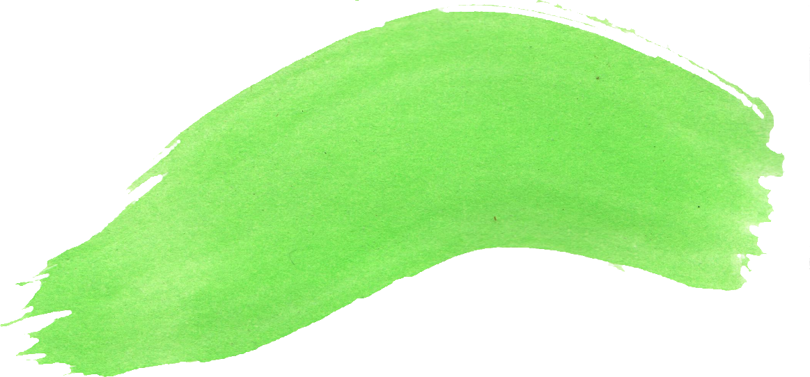 Free Download - Grass (1163x542), Png Download