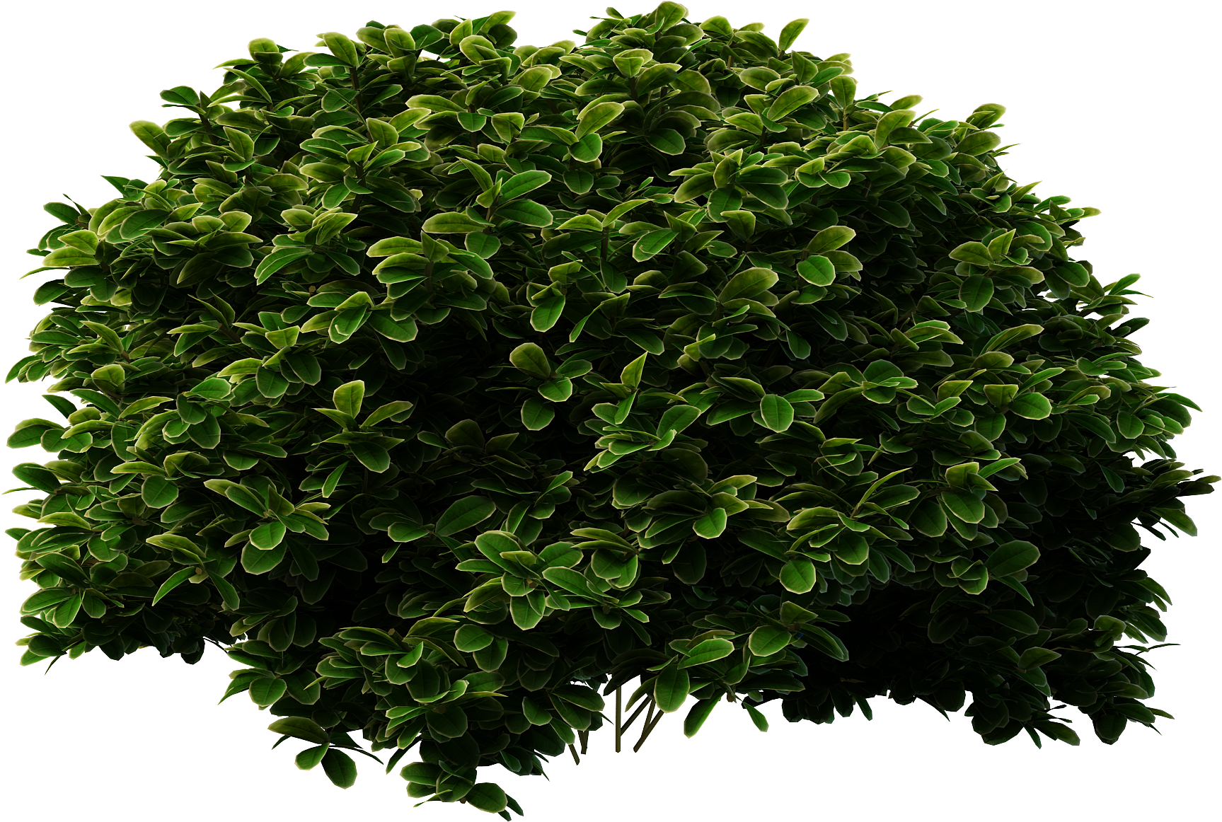 Free Icons Png - Shrub Png (2000x2000), Png Download