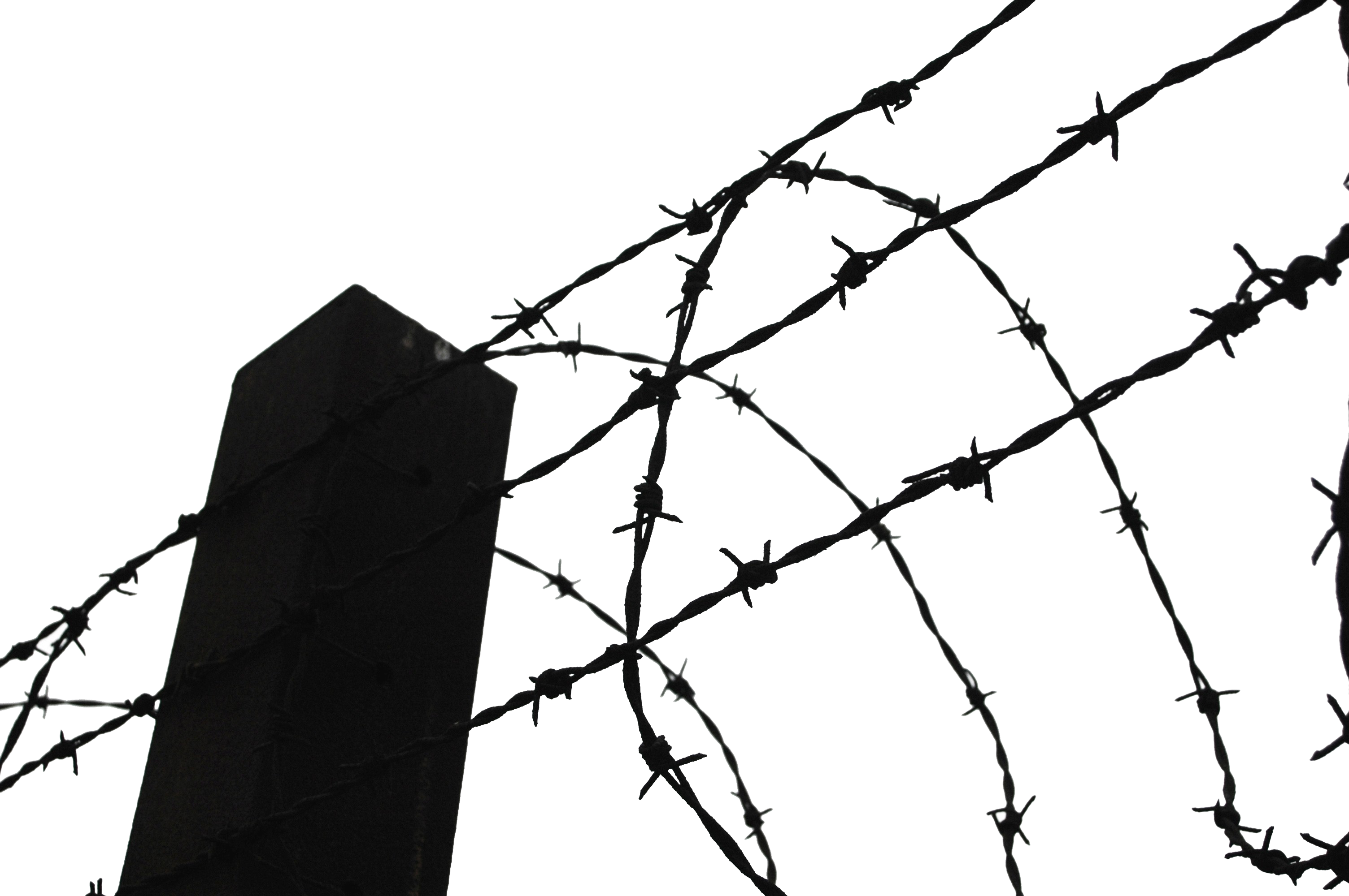 Barb Wire Clipart (600x399), Png Download