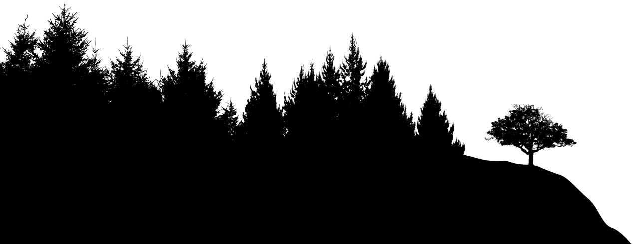 U N L U C K Y - Forest Silhouette Transparent Background (1268x490), Png Download