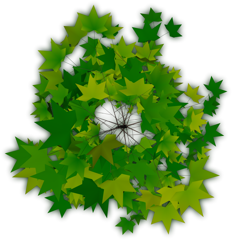 Trees Plan Png - Tree Top Png (800x830), Png Download